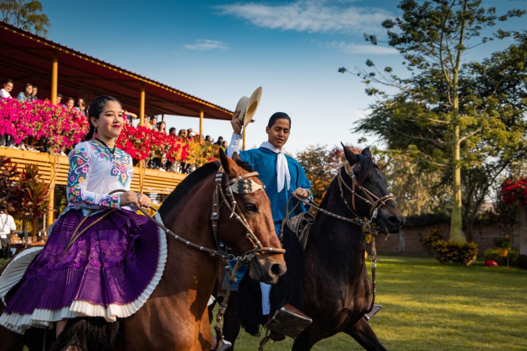 Caballos paso - Routes of Peru